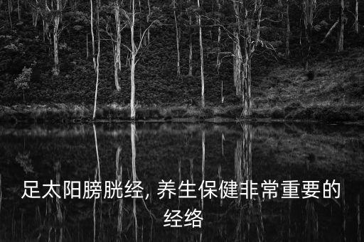 十二經絡養生操,十二經絡養生保健知多少?