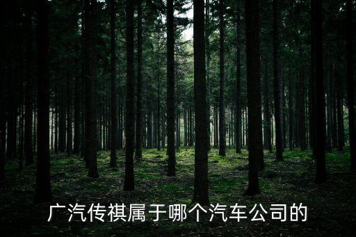 廣汽傳祺屬于哪個汽車公司的