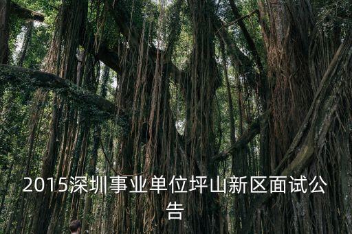 深圳坪山區選調，深圳聘任制公務員能否參加選調