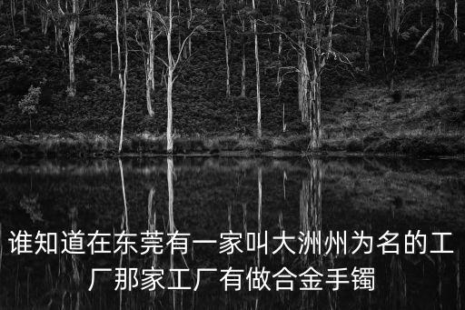 誰知道在東莞有一家叫大洲州為名的工廠那家工廠有做合金手鐲