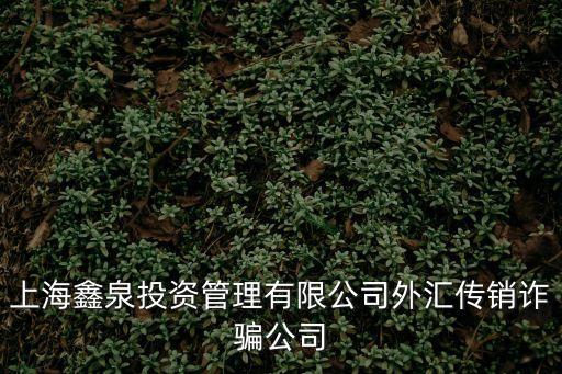 上海市漢邦金融集團，上海鑫泉投資管理有限公司外匯傳銷詐騙公司