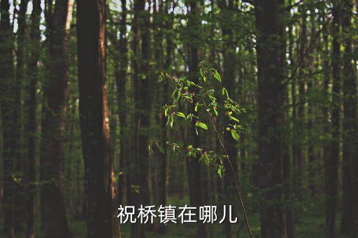 上海市祝橋鎮書記，祝橋鎮在哪兒