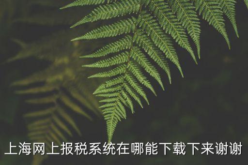 上海網上報稅系統在哪能下載下來謝謝
