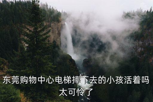東莞購(gòu)物中心電梯摔下去的小孩活著嗎太可憐了