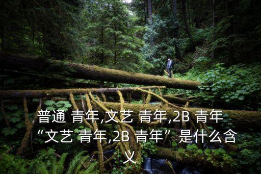 普通 青年,文藝 青年,2B 青年“文藝 青年,2B 青年”是什么含義