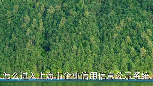 上海市企業信用公示系統，上海工商行政管理局