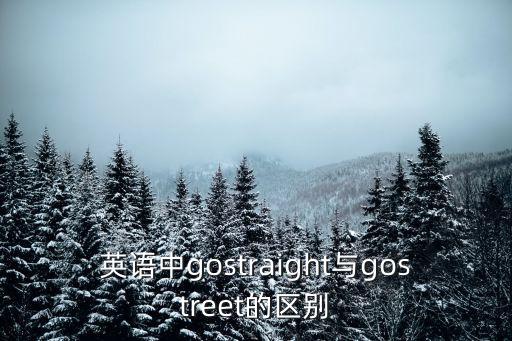 英語中gostraight與gostreet的區別