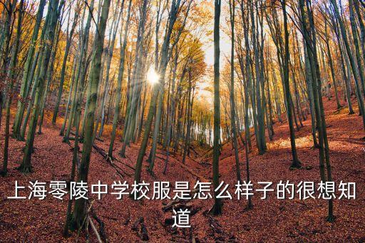 上海零陵中學校服是怎么樣子的很想知道