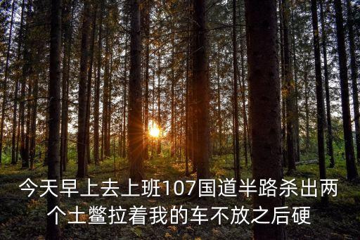 今天早上去上班107國道半路殺出兩個土鱉拉著我的車不放之后硬