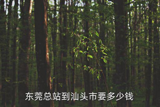 東莞總站到汕頭市要多少錢