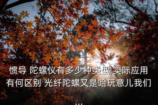 光纖陀螺儀,干涉式光纖陀螺儀