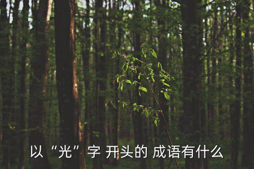 光字開頭的成語