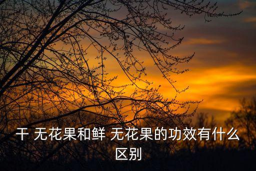 干 無花果和鮮 無花果的功效有什么區(qū)別