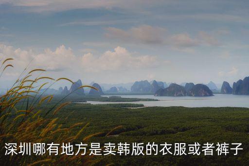 深圳哪里有賣韓版泳衣，請問那位知道深圳那里有中高檔次的韓版衣服批發的啊