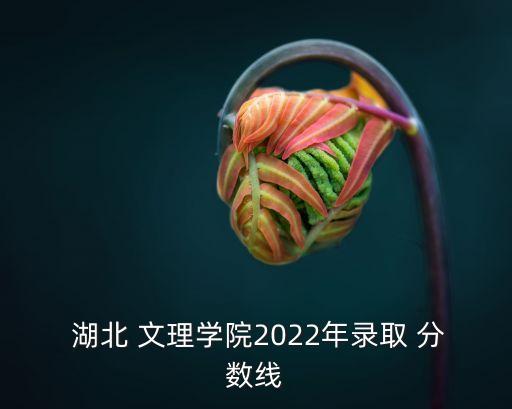 湖北文理學(xué)院分?jǐn)?shù)線