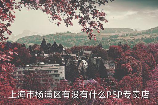 上海市楊浦區有沒有什么PSP專賣店