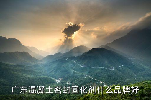 東莞質(zhì)量好混凝土密封固化劑，廣東混凝土密封固化劑廠家哪家最好