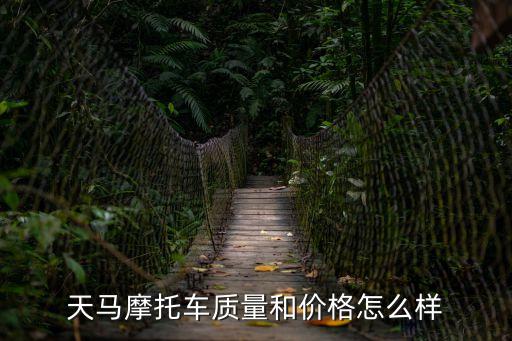 天馬摩托車質量和價格怎么樣