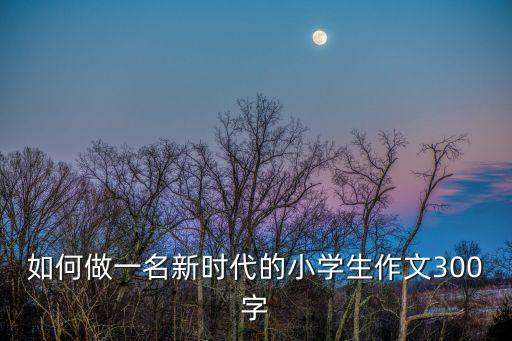 自豪的建設者