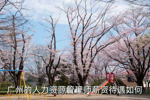 廣州的人力資源管理師薪資待遇如何
