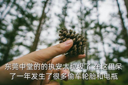 東莞塘廈交警中隊(duì)抓偷車，東莞塘廈交警