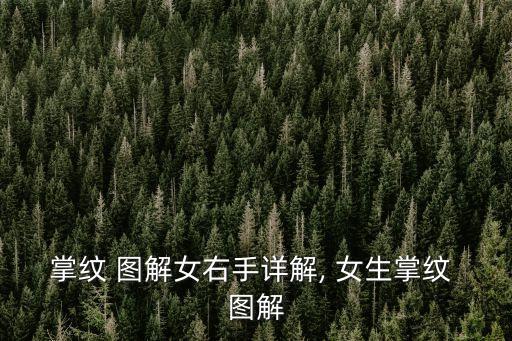 掌紋 圖解女右手詳解, 女生掌紋 圖解