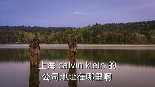 上海 calvin klein 的公司地址在哪里啊