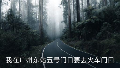 廣州東站5號門，我在廣州東站五號門口要去火車門口