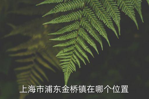 上海市金橋鎮(zhèn)在哪里，上海金橋在那