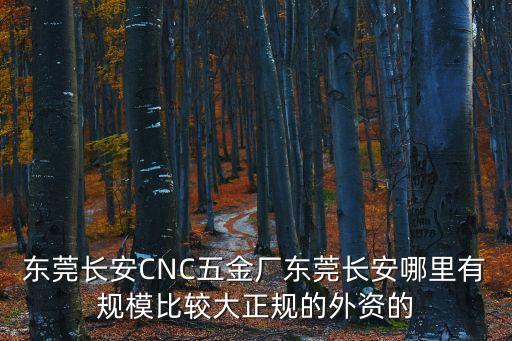 東莞長安CNC五金廠東莞長安哪里有規(guī)模比較大正規(guī)的外資的
