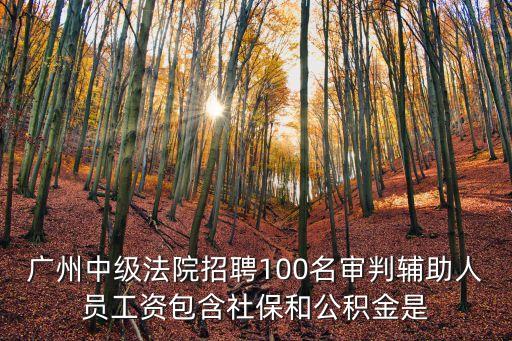 廣州中院審判輔助人員，審判輔助崗位是公務員