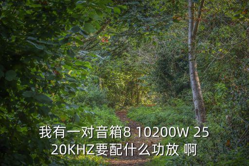 我有一對音箱8 10200W 2520KHZ要配什么功放 啊