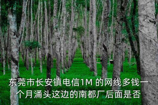 東莞市長安鎮電信1M 的網線多錢一個月涌頭這邊的南都廠后面是否