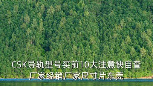 CSK導(dǎo)軌型號買前10大注意快自查廠家經(jīng)銷廠家尺寸片東莞
