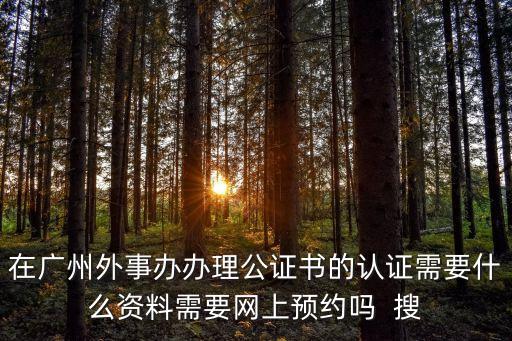 在廣州外事辦辦理公證書的認證需要什么資料需要網(wǎng)上預(yù)約嗎  搜