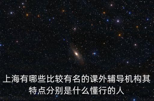 上海市教育輔導，上海最好的輔導機構地址電話大全 高中文理綜一對一補習怎樣