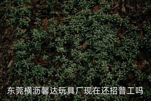 東莞橫瀝弘達玩具廠，東莞橫瀝馨達玩具廠現在還招普工嗎