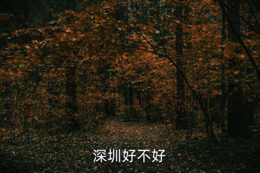 深圳維興順怎好不好，深圳偉創力好嗎在什么位置