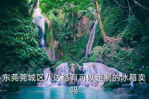 東莞莞城區八達路有可以定制的冰箱賣嗎
