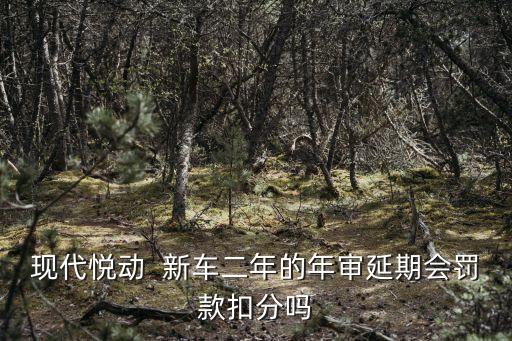 現(xiàn)代悅動(dòng)  新車二年的年審延期會(huì)罰款扣分嗎