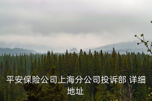 平安保險公司上海分公司投訴部 詳細地址