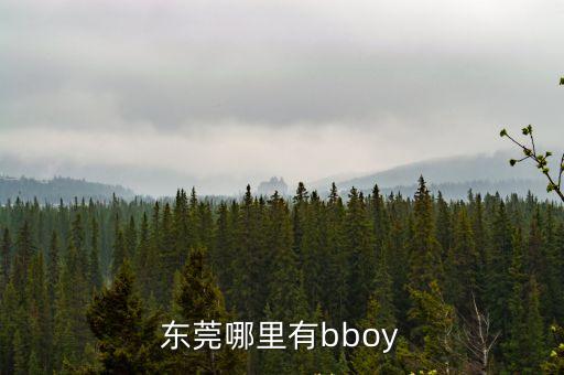 東莞哪里有bboy