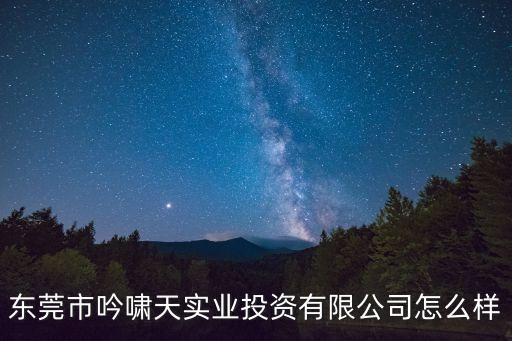 東莞市吟嘯天實業(yè)投資有限公司怎么樣
