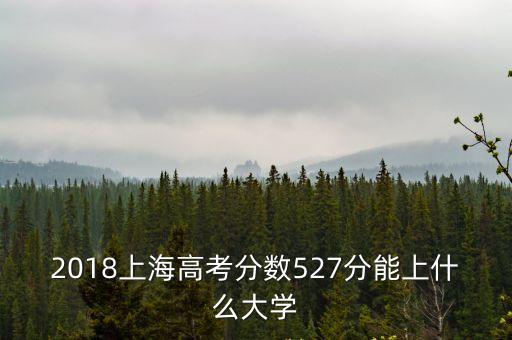 2018上海市投檔線，上海第一批本科的各高校投檔分數線在哪里可以查詢