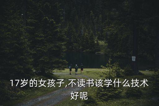17歲的女孩子,不讀書該學什么技術好呢