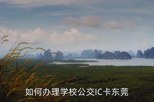 東莞市校園一卡通，如何辦理學校公交IC卡東莞