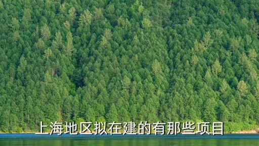 上海地區(qū)擬在建的有那些項目