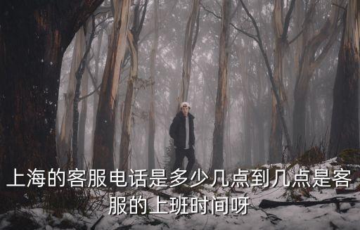 上海的客服電話是多少幾點到幾點是客服的上班時間呀