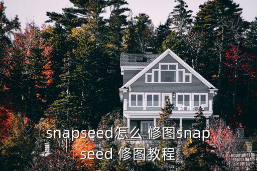 snapseed怎么 修圖snapseed 修圖教程