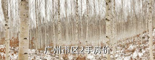廣州市區2手房價